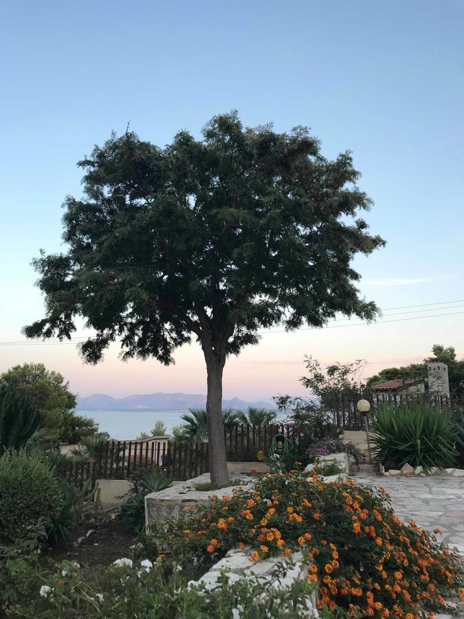 Villa Michela スコペッロ エクステリア 写真